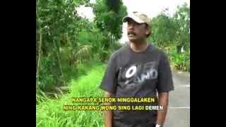 Ardian Nada   Wisanecinta