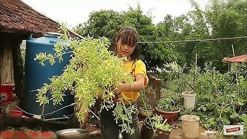 Hoa Đu Đủ Đực Nộm Món Ăn Dân Dã Người Thái Rất Tốt Cho Sức Khỏe | Dân Tộc Tây Bắc