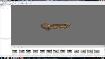 Pleistocene Crab Fossil Photogrammetry