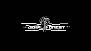 Digital Forest   My Strange ligh