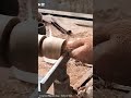 #palmtree