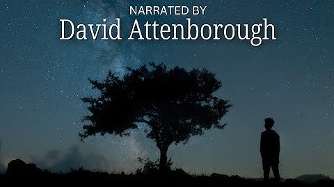 The Universe Beyond the Edge Explained — Narrated David Attenborough