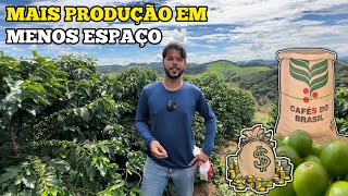 FUTURO DA CAFEICULTURA BRASILEIRA FIQUE ATENTO ANTES DE PLANTAR CAFÉ