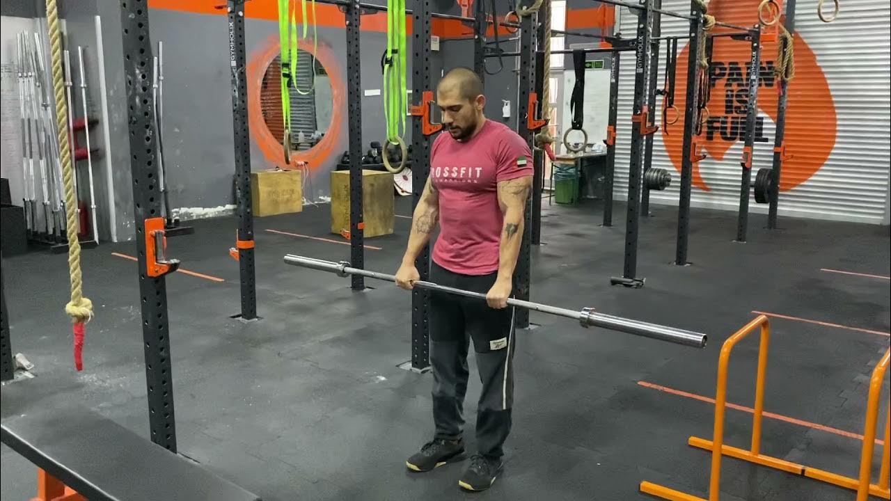 Pronated Barbell Curl YouTube