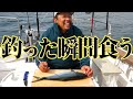 【船釣り・船上料理】釣ったハマチをそのままハマチ丼に！