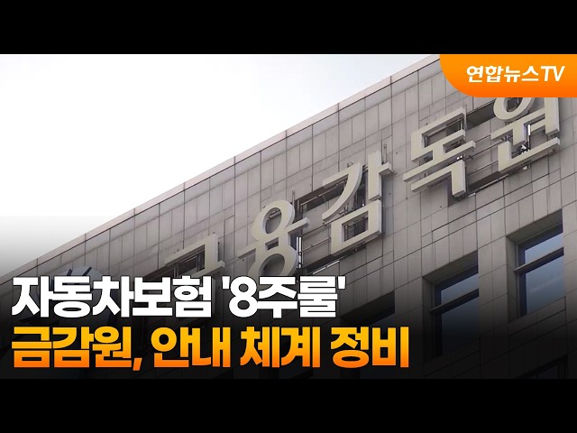금감원, 자동차보험 '8주룰' 안내 체계 정비 / 연합뉴스TV (YonhapnewsTV)
