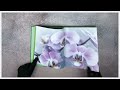 Orchids Floramour series by teNeues Books mp3