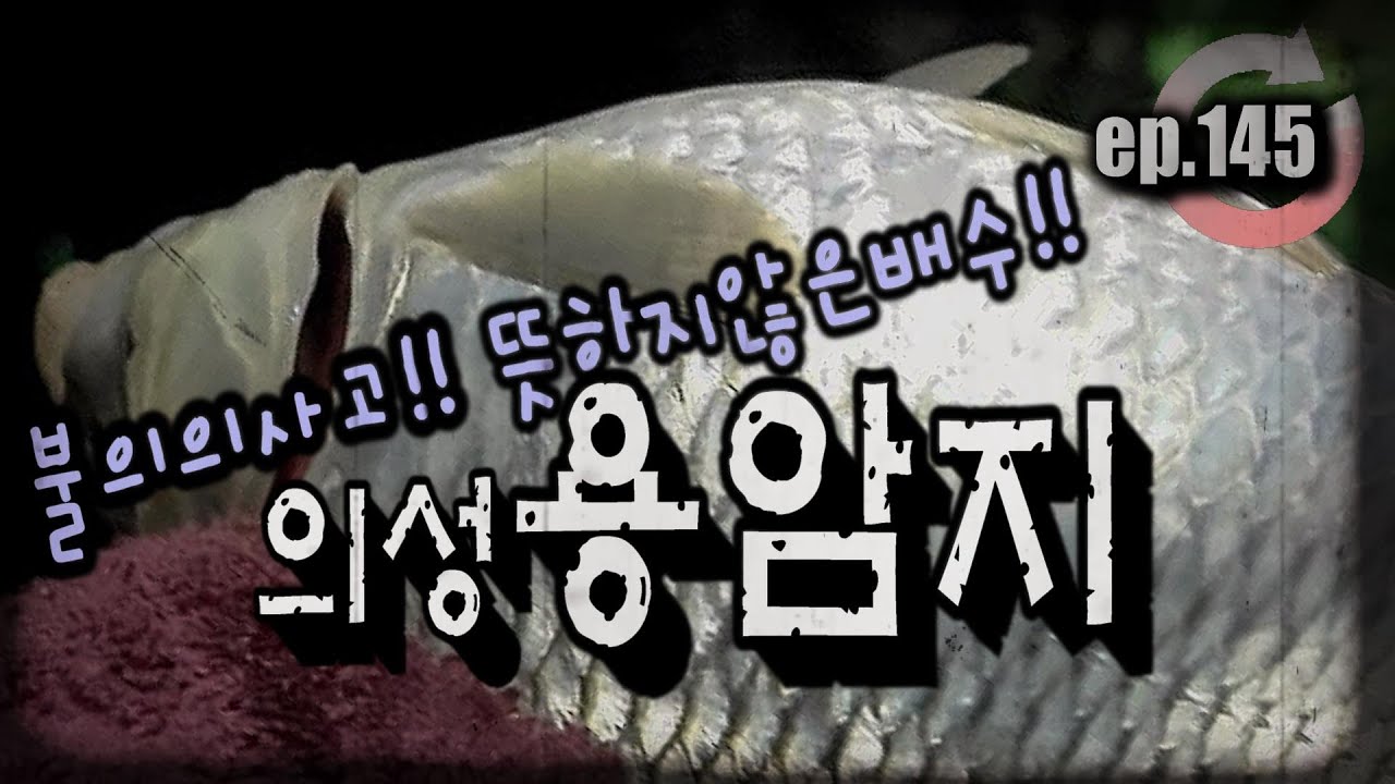 [ep.145] 불의의 사고...갑자기 출조한 의성 용암지!! 