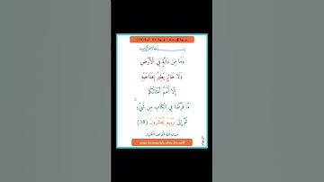 سورة الانعام - سورة 06 - اية (38)