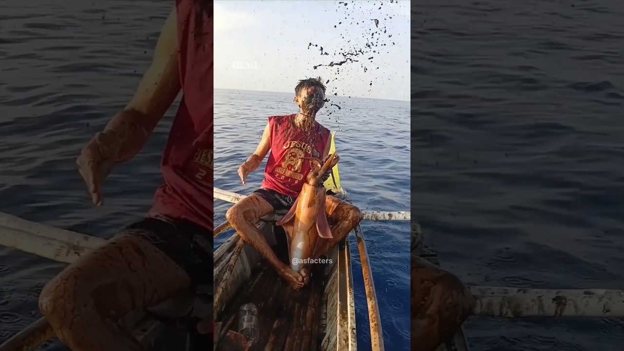 Squid Ink  Blast to The Face || Stay Away From Squid