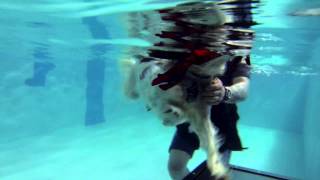 Barney's First Hydrotherapy Session