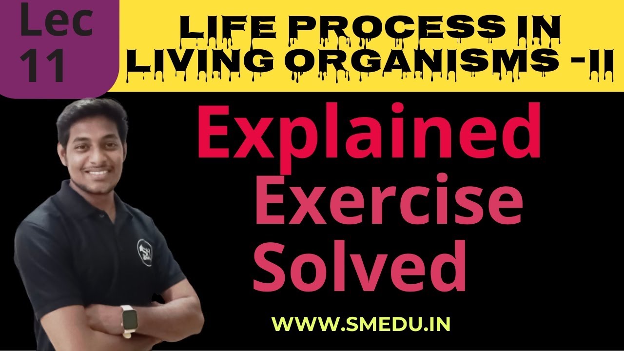 Lec 11 | Exercise | Solved | life Process in Living Organisms -II ...