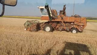 🌾🌾Комбайн Нива СК 5 уборка канадской озимой пшеницы после пара 🌾🌾