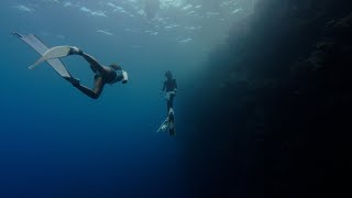 Freediving the Hidden Caves & Coral Wall Wonders of Menjangan Island!