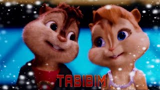 Burunduqlar - Tabibim (Official HIT Music 2023)