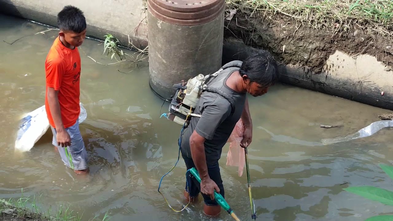  MENANGKAP IKAN  DI SUNGAI DENGAN SETRUM YouTube