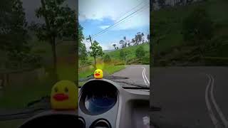 අනන්තයට යන පාර දිගේ??| travel | nuwara eliya travel | trending | sri lanka | short video shorts