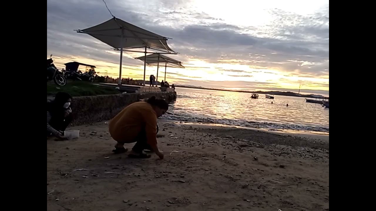 Sunset With Chipmunks Sound 😂 