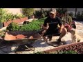 Gardening: Building the Succulent/Rock Garden