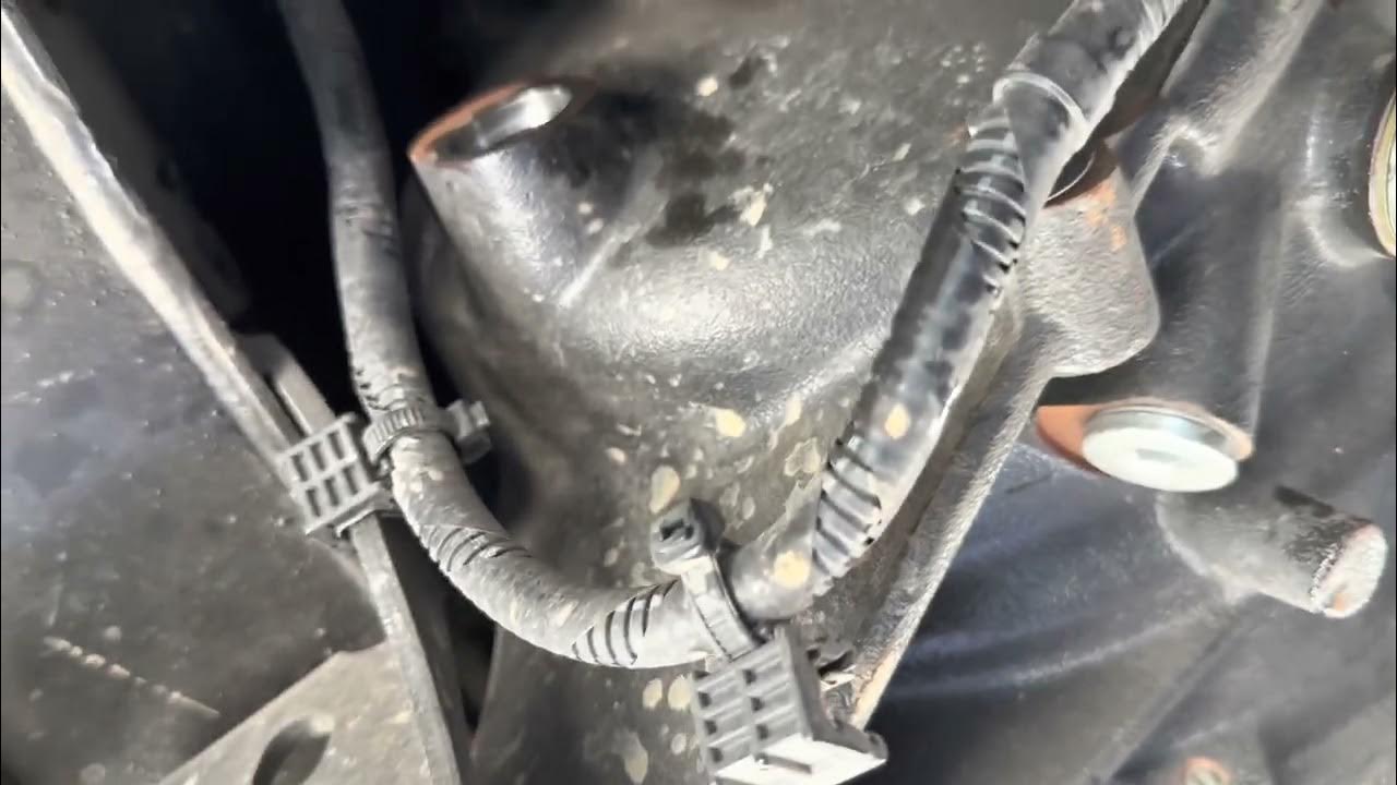 Transmission And Differential Fluid Change 200920013 Ctsv V2 YouTube