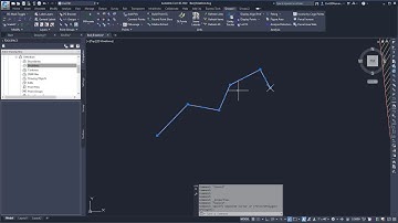 SincPac: RemoveDuplicatePIs