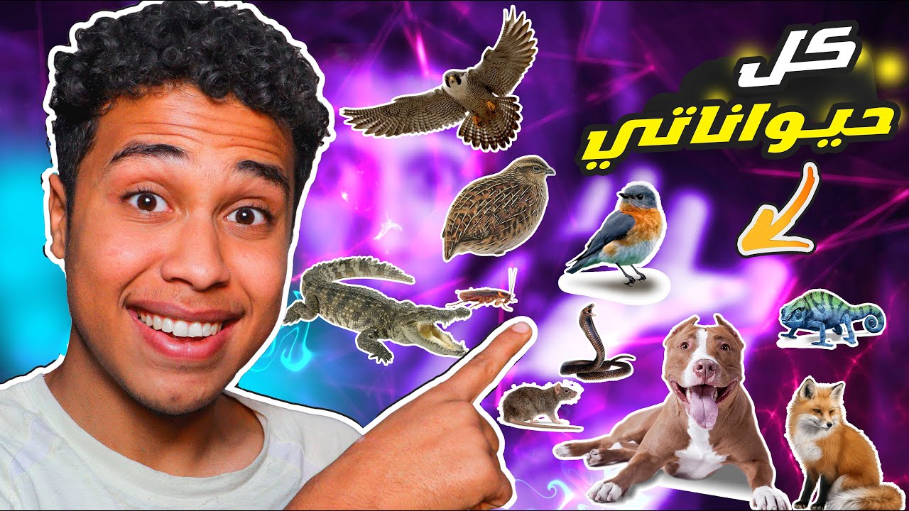 Как мне заботиться обо всех моих животных?! 🤔 Хантер всё испортил! 🐕😂