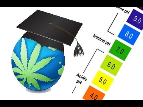 Marijuana Ph Chart