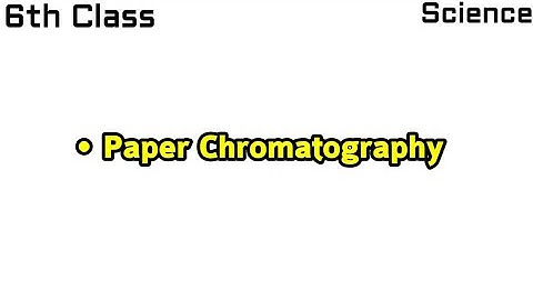 Paper Chromatography - 6th Class Science