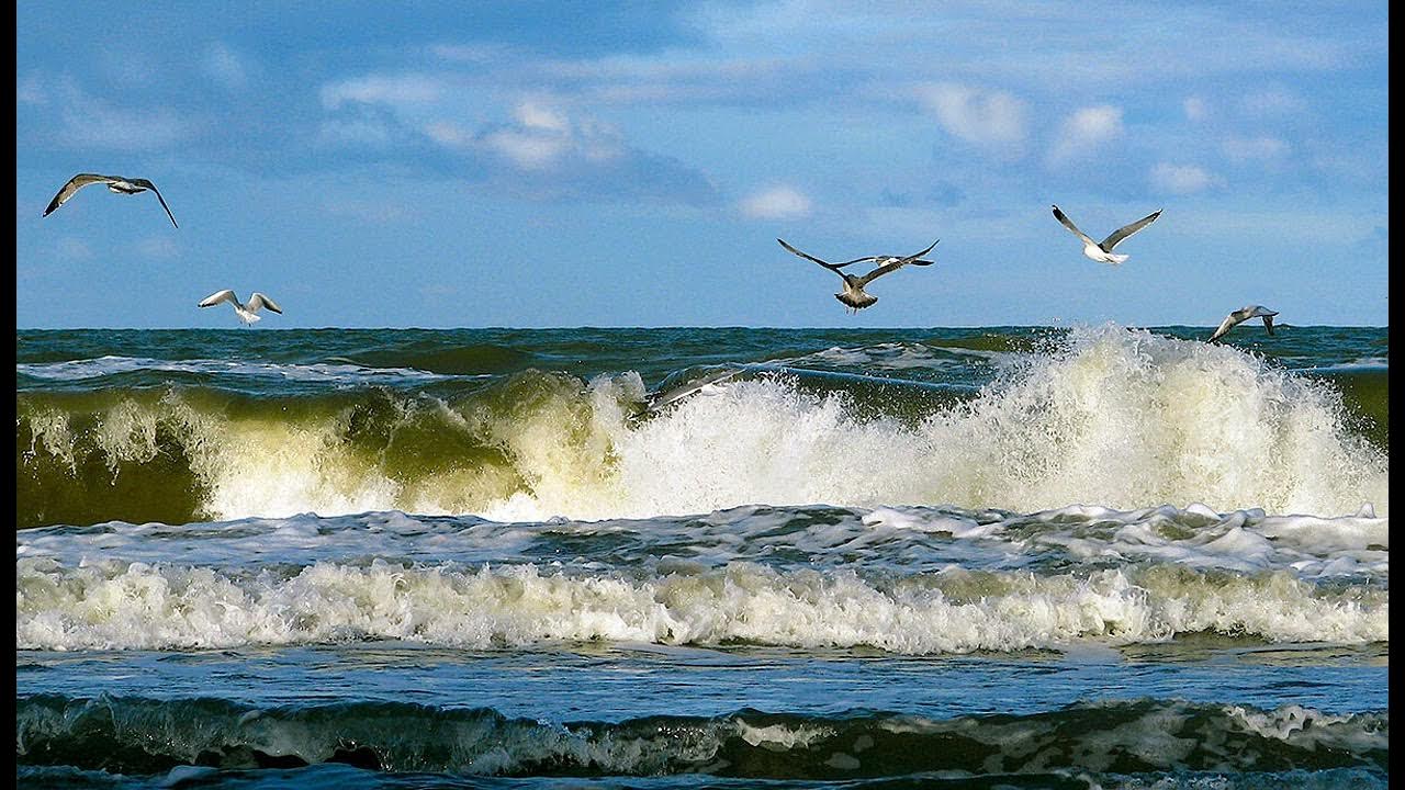 Море гудело грозно выделяясь