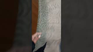 20210820 1243331