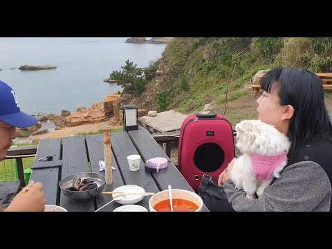 복부인 <strong>울산동구맛집</strong> 바다 바로 보이는 (반려견동반식당)빈이와 짬뽕 #동태전 부대찌개 먹방