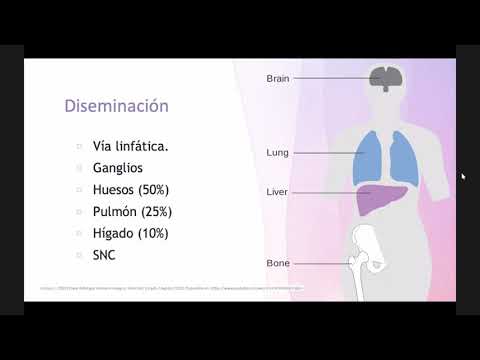 Vídeo: Patologia De L’amor Matern. Part 2