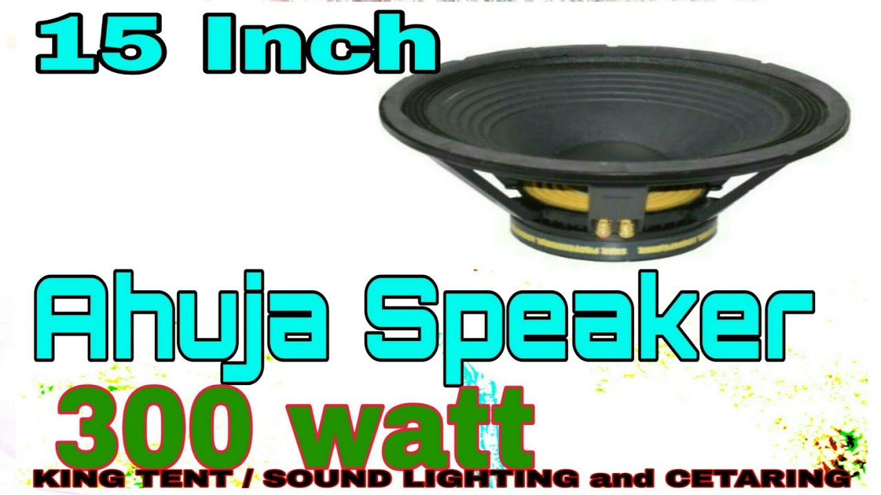 ahuja 300 watt 15 inch speaker price