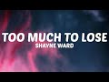 Miniature de la vidéo de la chanson Too Much To Lose
