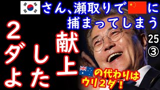 （12/26現在､誤報の報道が出ています）寄越せアル...　【江戸川 media lab HUB】お笑い･面白い･楽しい･真面目な海外時事知的エンタメ