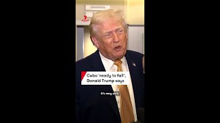Donald Trump predicts fall of Cuba's government after capture of Venezuelan president