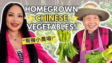 MY HAKKA GRANDMA