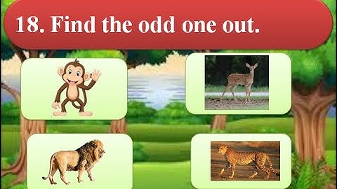 Quiz / Adaptation Of Animals / Grade 4