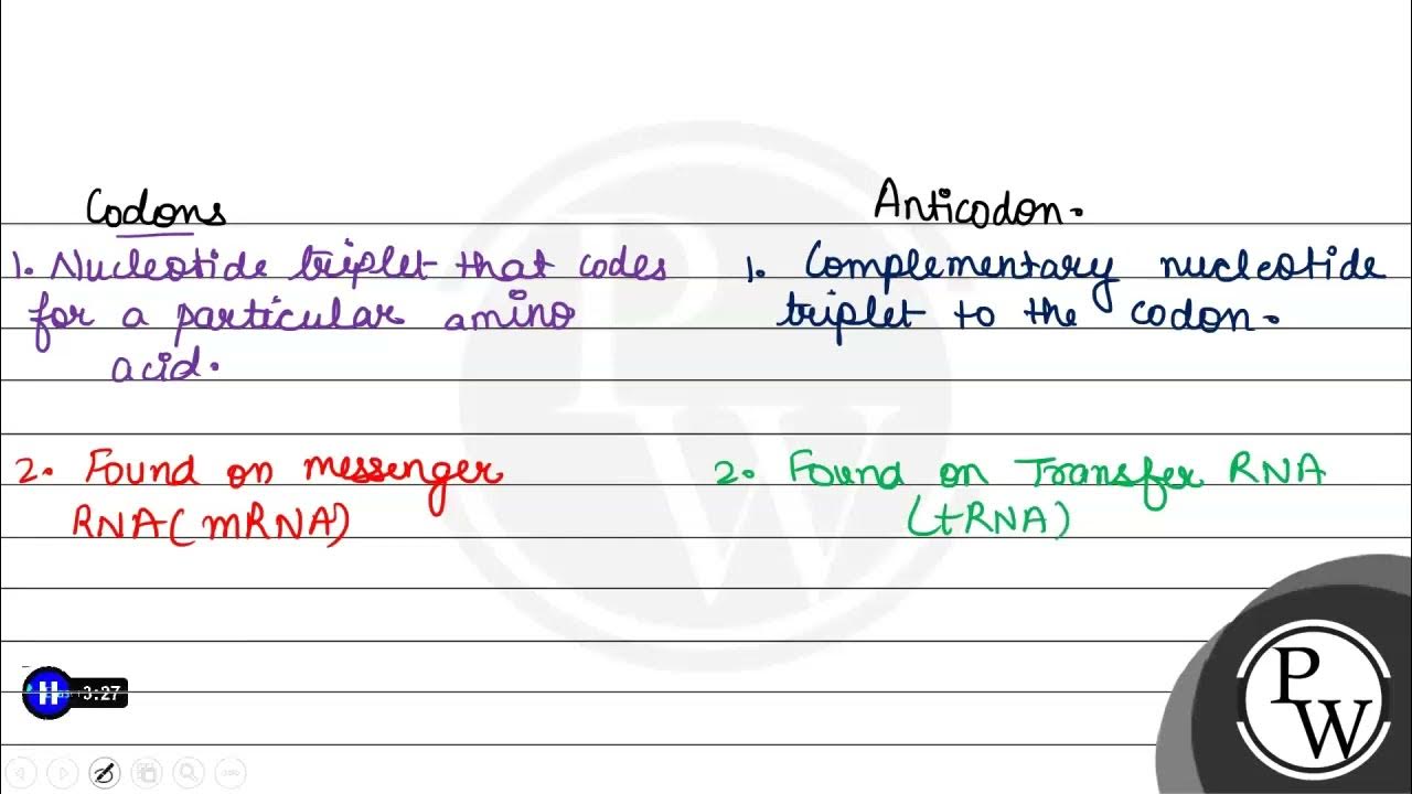 Differentiate between codons and anticodons. - YouTube