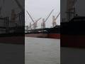 #youtubeshorts /#viralvideo /#crazemanik /ship video/#ship