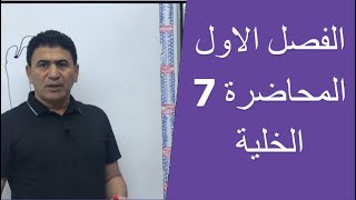 المحاضرة(٧) الفصل الاول الخلية ( النواة)