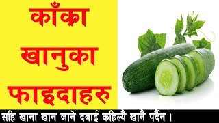 काँक्रा खानुका फाइदाहरु II Health Benefits Of Cucumber II Health Care Tips II By Yogi Prem