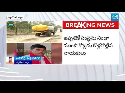 నిండా ముంచేశారు.. | Biggest Scam In Mother Dairy | Nalgonda Politics | @SakshiTV - SAKSHITV