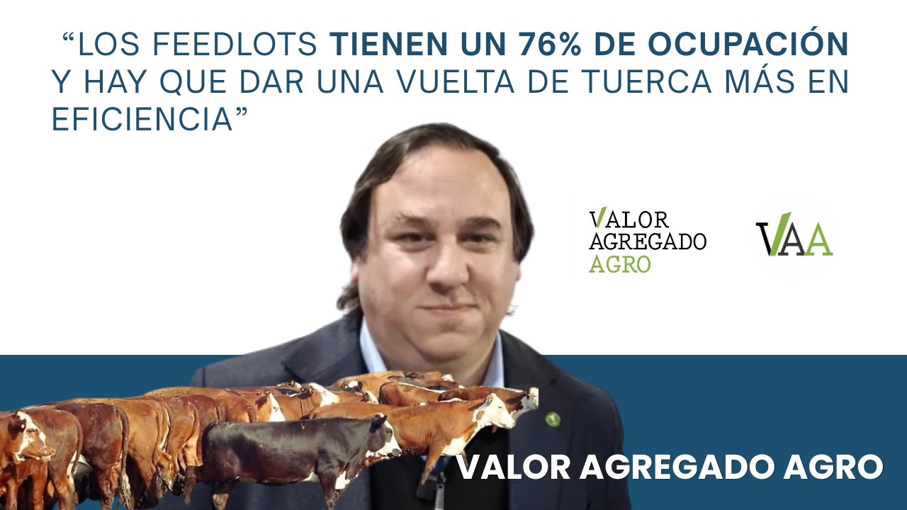 Feedlots al 76%: Storni explica por qué ahora necesitan más kilos y 140 días de encierre