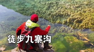 On the second day of enjoying autumn in Jiuzhaigou, hiking 30,000 steps a day