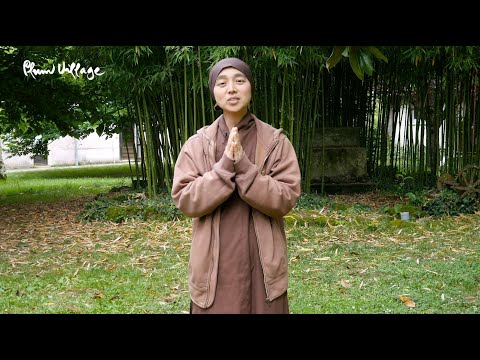 Walking Meditation in Nature with Sister Sinh Nghiem | Plum Village Online Retreats