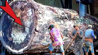 Sawing The Most Beautiful Wood That Has No Match In The World Sawmill