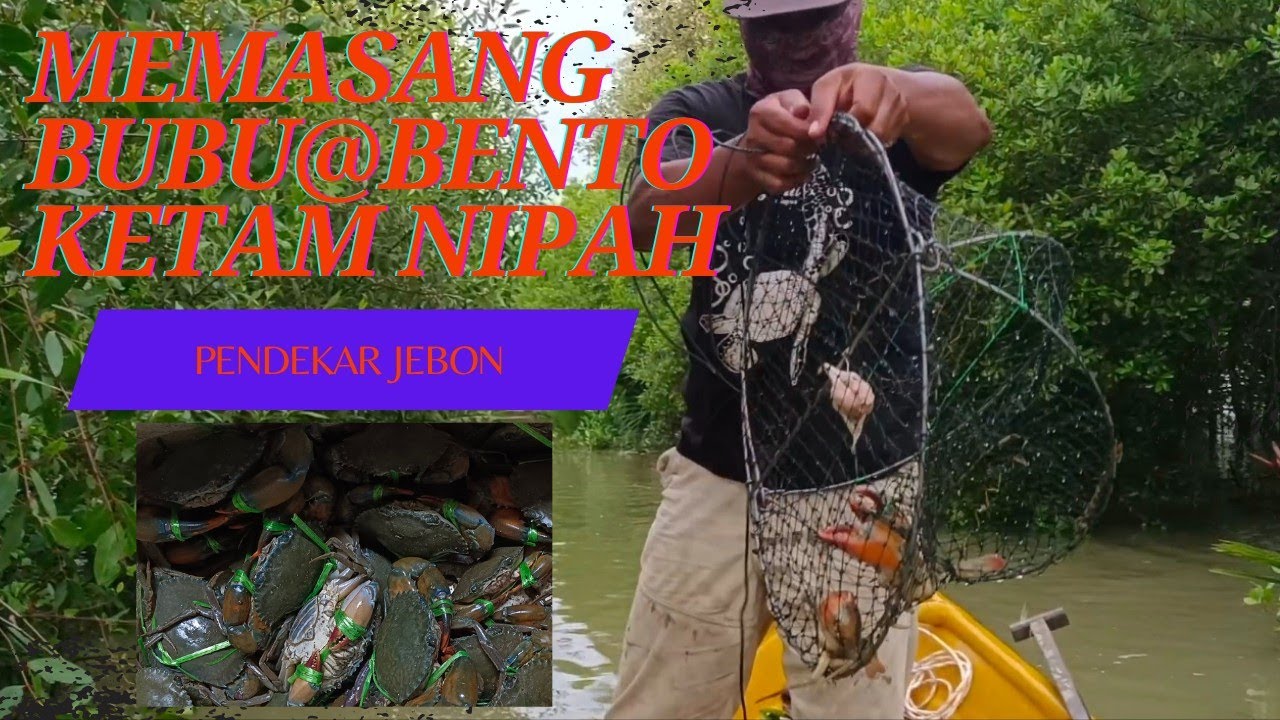 Pasang Bento Ketam | Umpan Kepala Ayam | Hasil Paduuu!! part1