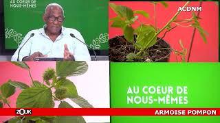 Au Coeur De Nous Memes - 17 Avril 2024 - Armoise Pompon