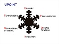 Chronic Prostatitis/Chronic Pelvic Pain Syndrome: Basing a Treatment Strategy on Randomized Place...